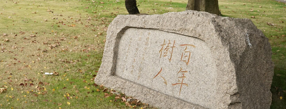 复旦大学的优势专业有哪些？(2026考生参考)