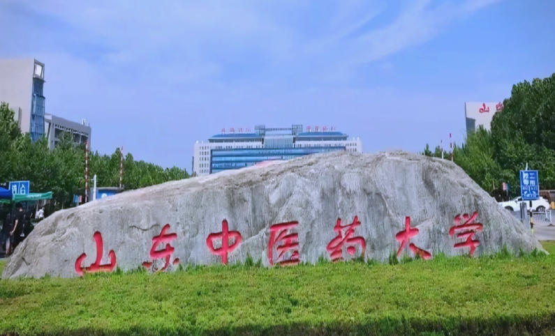 山东中医药大学2025年在重庆招生计划详情(2026年参考)
