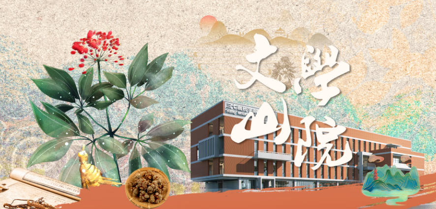 文山学院2025年全国录取分数及位次(2026参考)