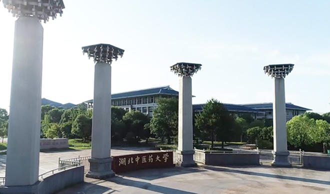 湖北中医药大学的录取分数线是多少？