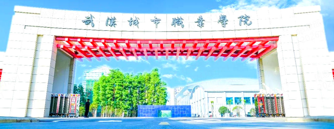 武汉城市职业学院2025年各省录取分数及位次（2025参考）