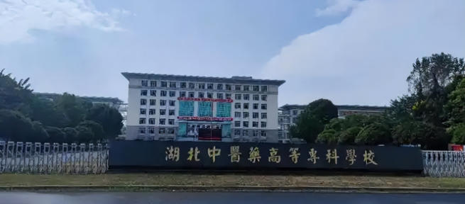 湖北中医药高等专科学校在湖北录取分数及位次