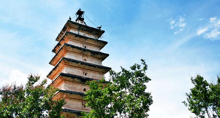 楚雄师范学院2024-2025年全国各省录取分数线（2026参考）