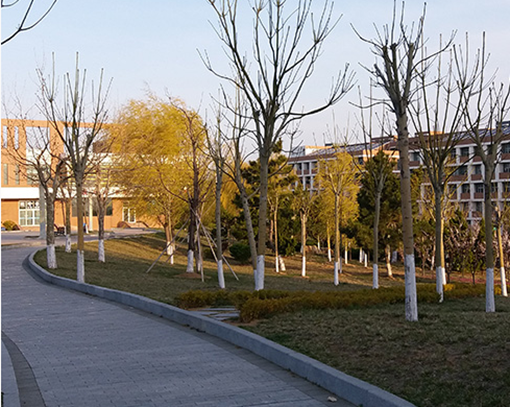 莱芜市旅游学校