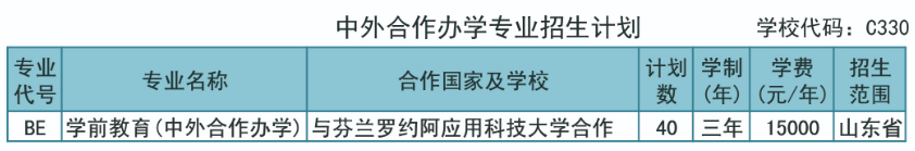 2024莱芜职业技术学院中外合作办学招生计划-各专业招生人数是多少