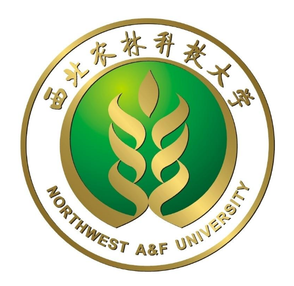 咸阳的大学排名一览表 咸阳的大学排名一览表