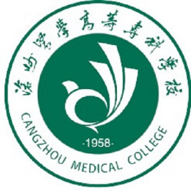 沧州双高计划学校排名一览表