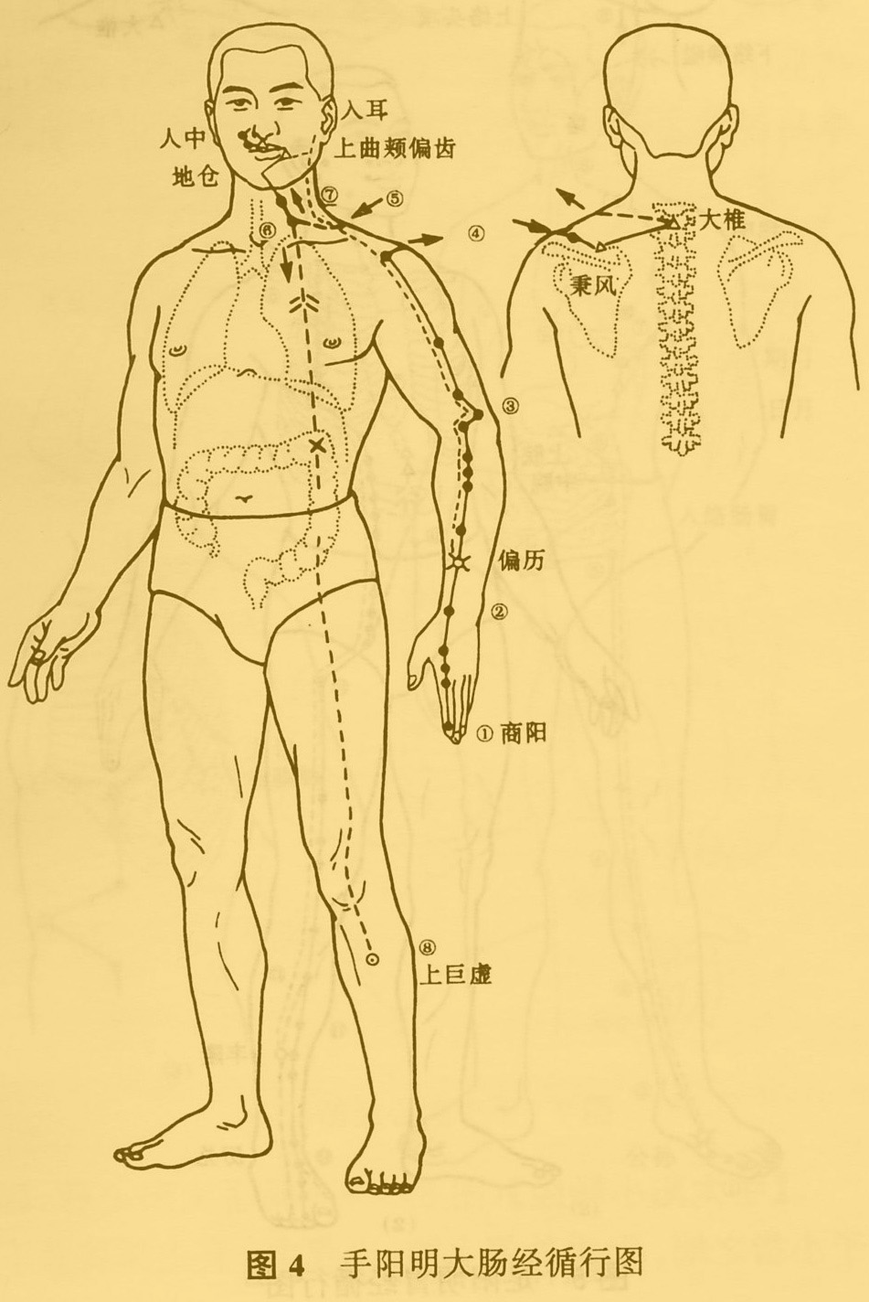 中医推拿按摩师资格证