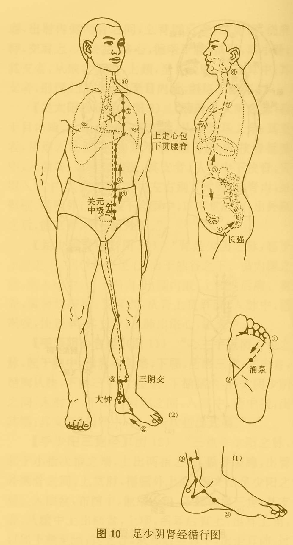 中医推拿按摩师资格证