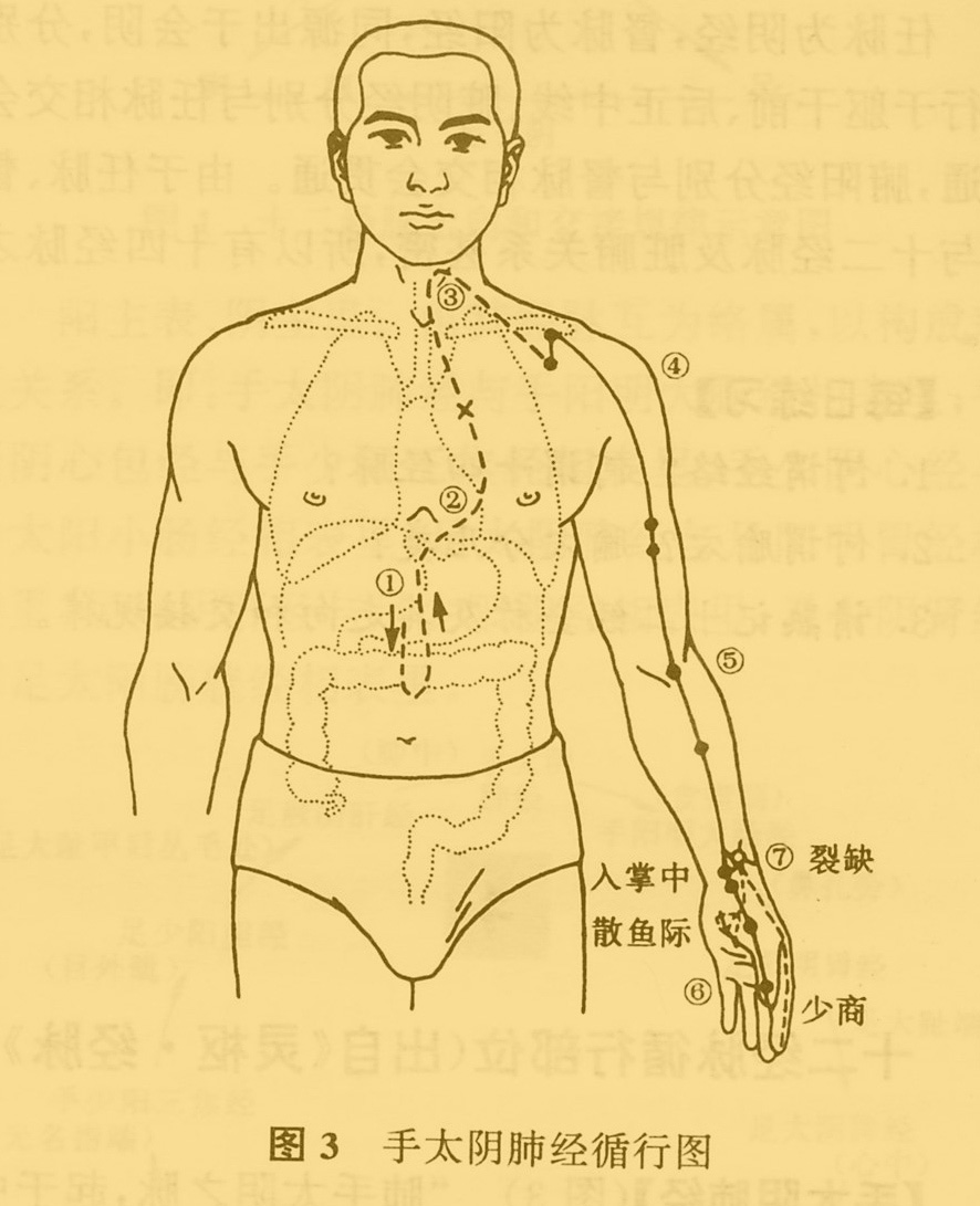 中医推拿按摩师资格证