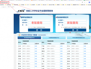 全国高级康复理疗师证查询