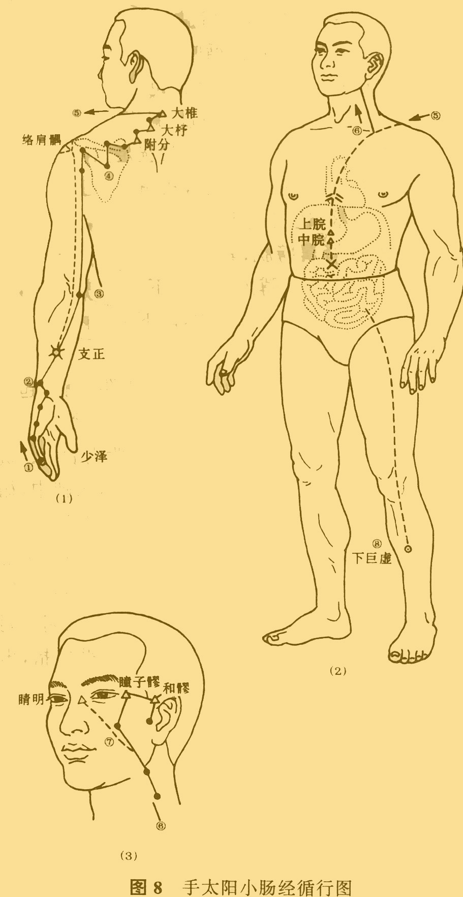 中医推拿按摩师资格证