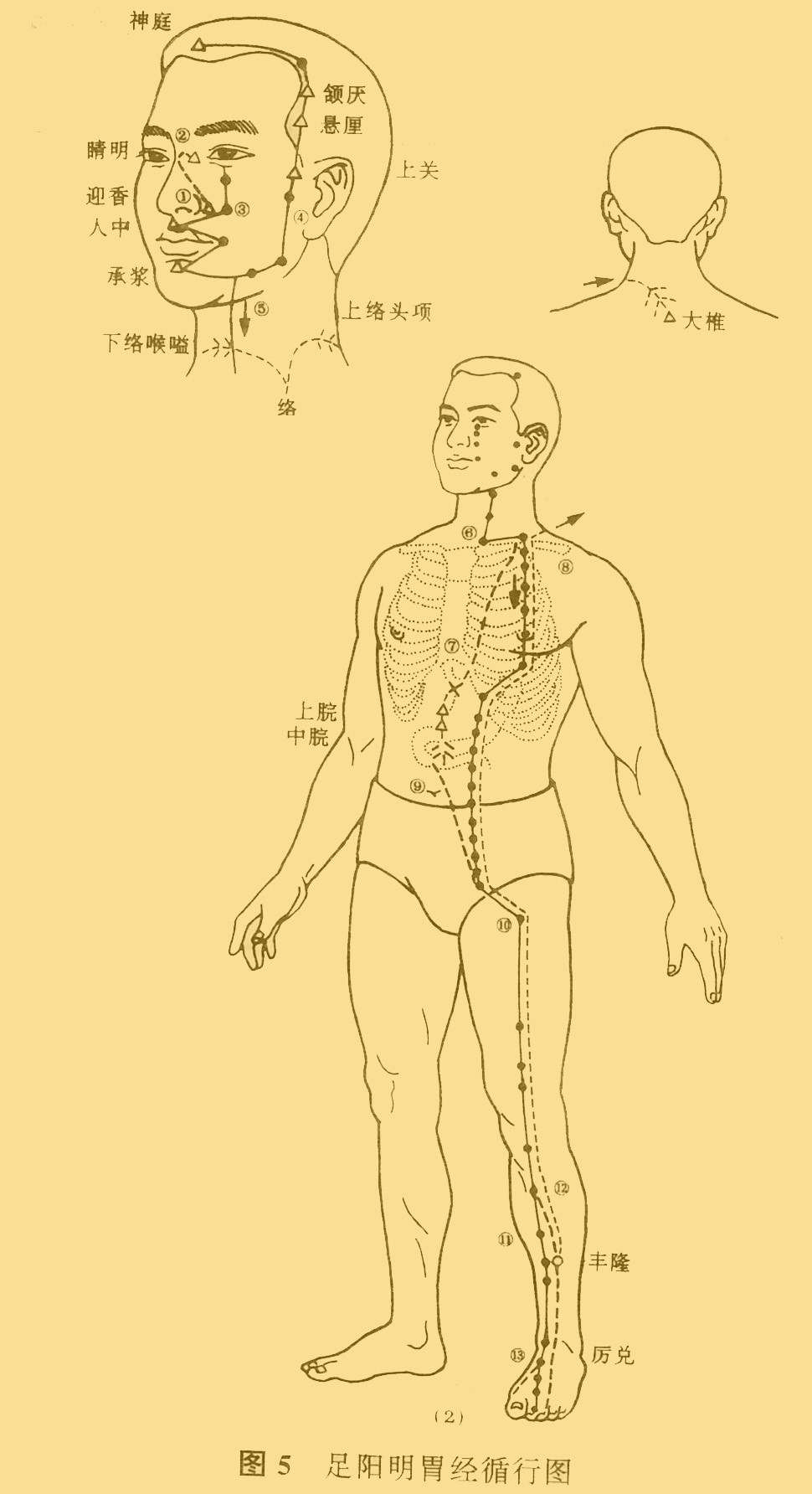 中医推拿按摩师资格证